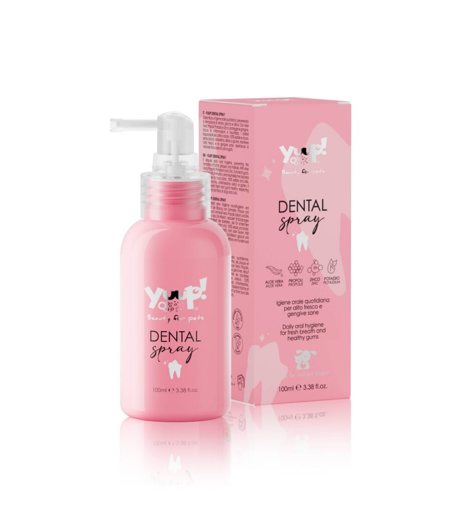 Dental Spray 100ml - Yuup!
