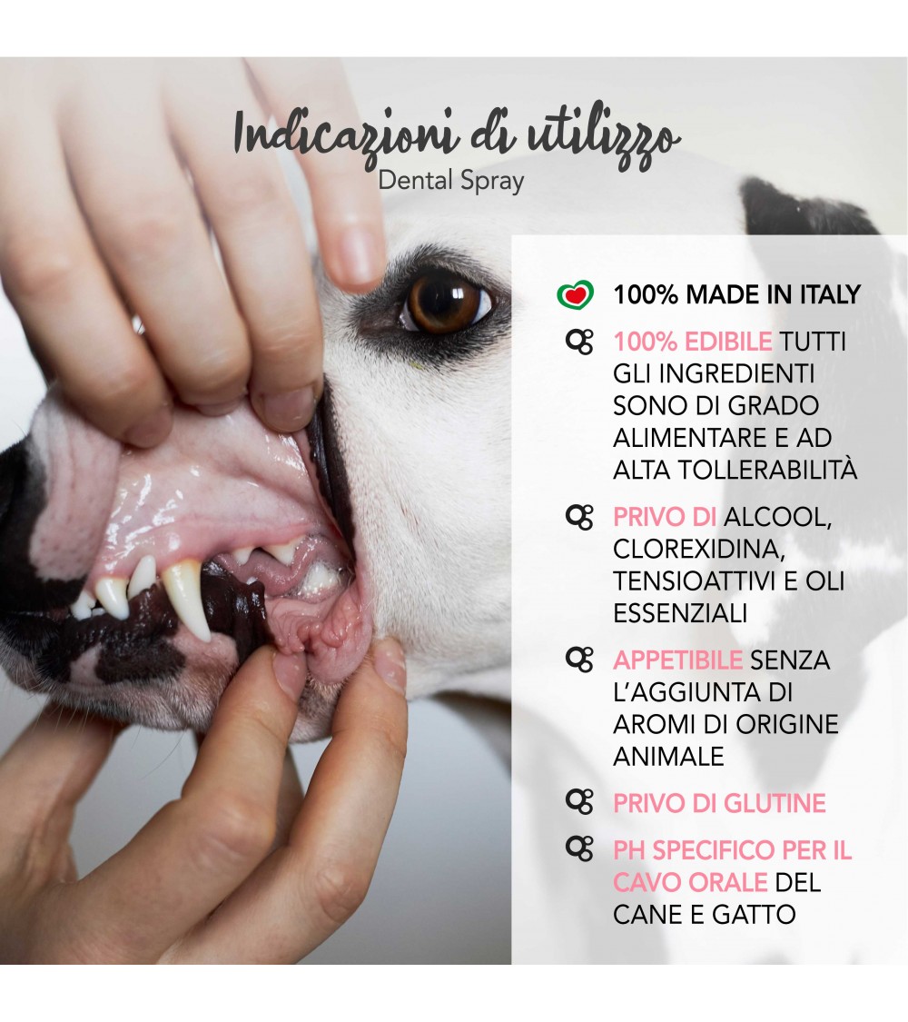 Dental Spray 100ml - Yuup! - immagine 5