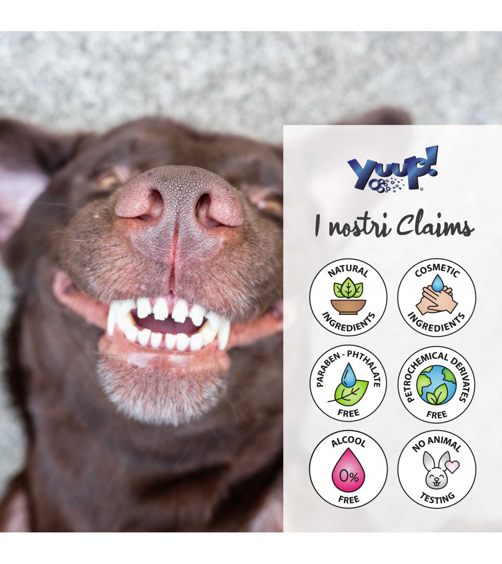 Dental Spray 100ml - Yuup! - immagine 6